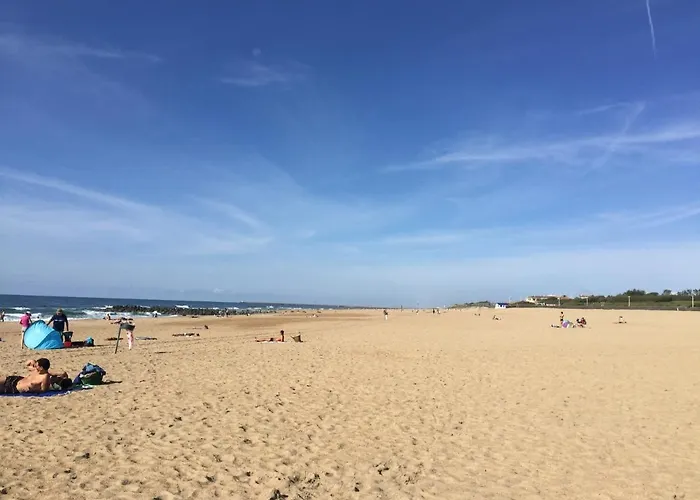 Vandrarhem Spotsleeping